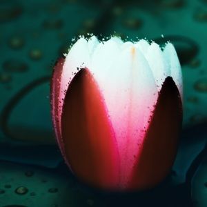 Meet your Posher, Basel